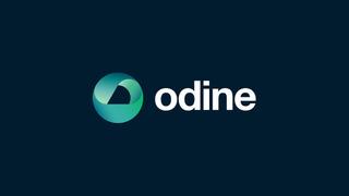 Odine hissesinden 15 milyar TL'lik vurgun! Cengiz Avcı hakkında yakalama kararı