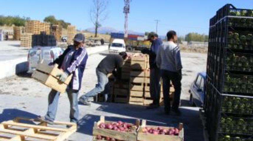 Elma &uuml;reticisi rekolteden ve fiyattan memnun