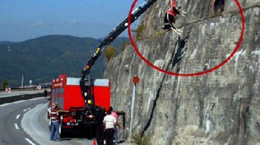 Otoyolda inek kurtarma operasyonu