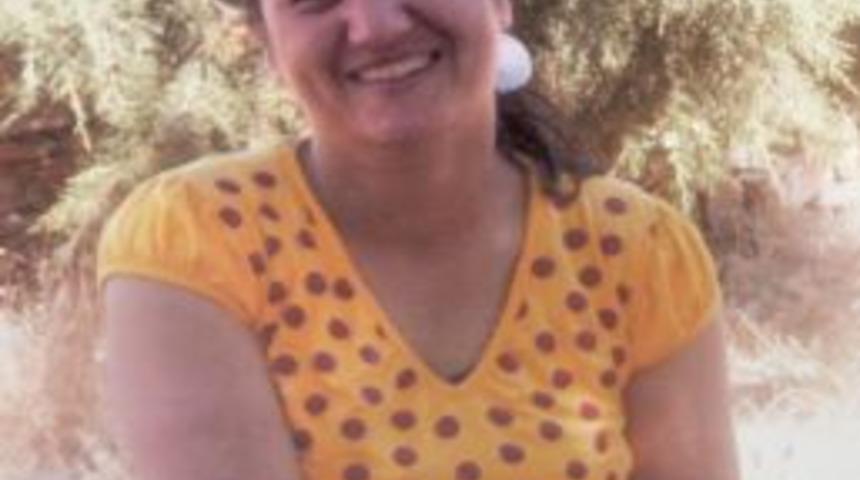 Anne ile oğlu yolun karşısına ge&ccedil;emedi