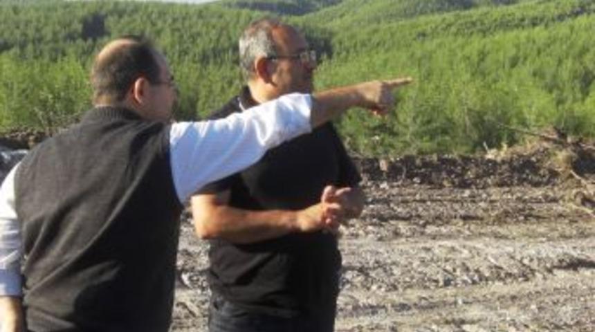 &lsquo;&lsquo;Yanan ormanlar bizim geleceğimiz&rsquo;&rsquo;