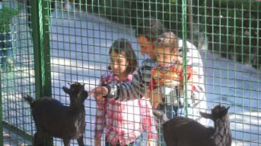 Evcil hayvanlar parkı &ccedil;ocukların ilgi odağı oldu