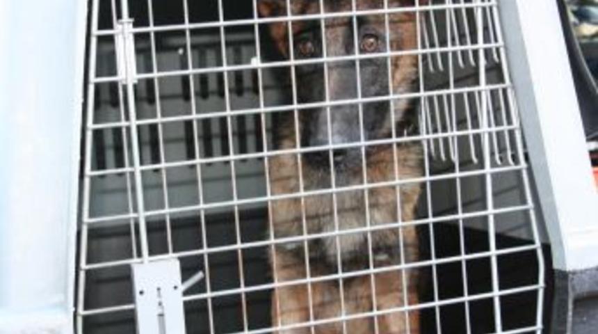 Zonguldak'tan 9 kişilik arama-kurtarma ekibi Van&rsquo;a g&ouml;nderildi