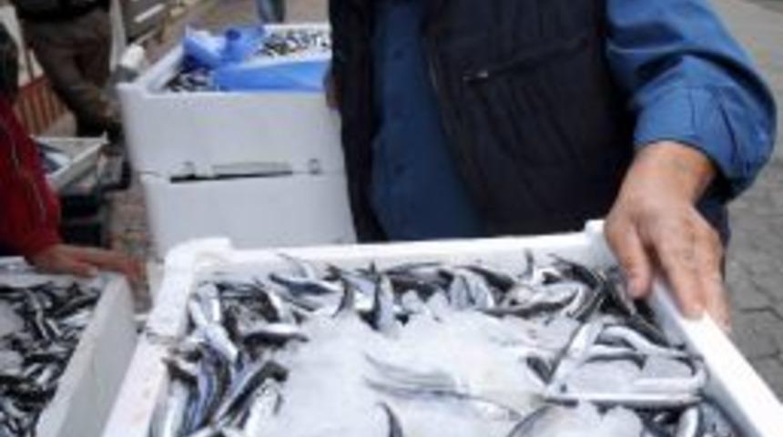 2 TL'ye d&uuml;şen hamsi fakirin sofrasına da girdi