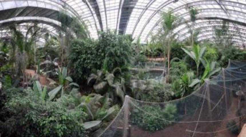 'Zararlı' b&ouml;ceği 'yararlı' b&ouml;cekle yendiler