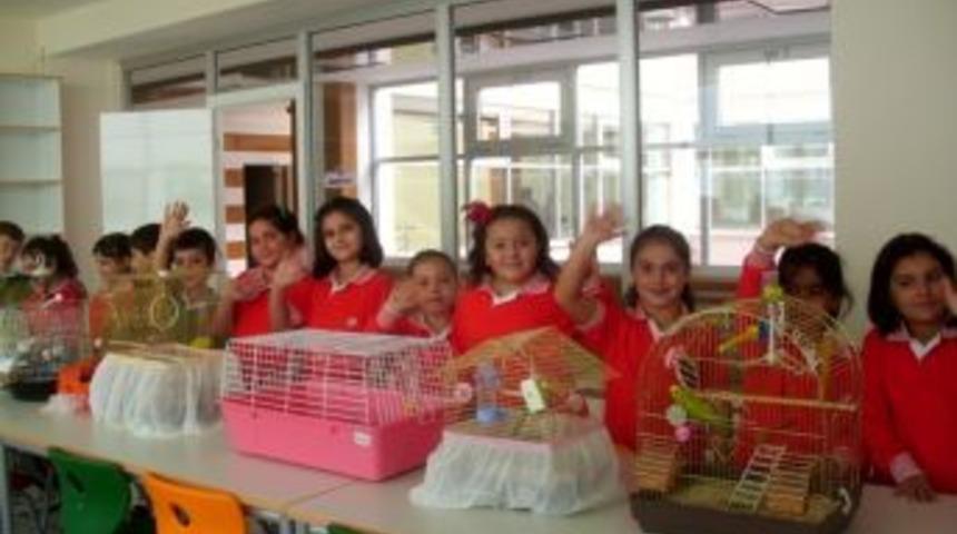 Nil&uuml;ferli &ouml;ğrenciler, derse evcil hayvanları ile geldi
