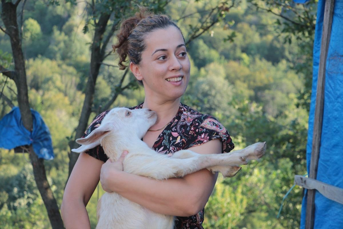 Emekli olunca tazminatıyla atıl arazide kurdu: Yeni geliri oldu 3