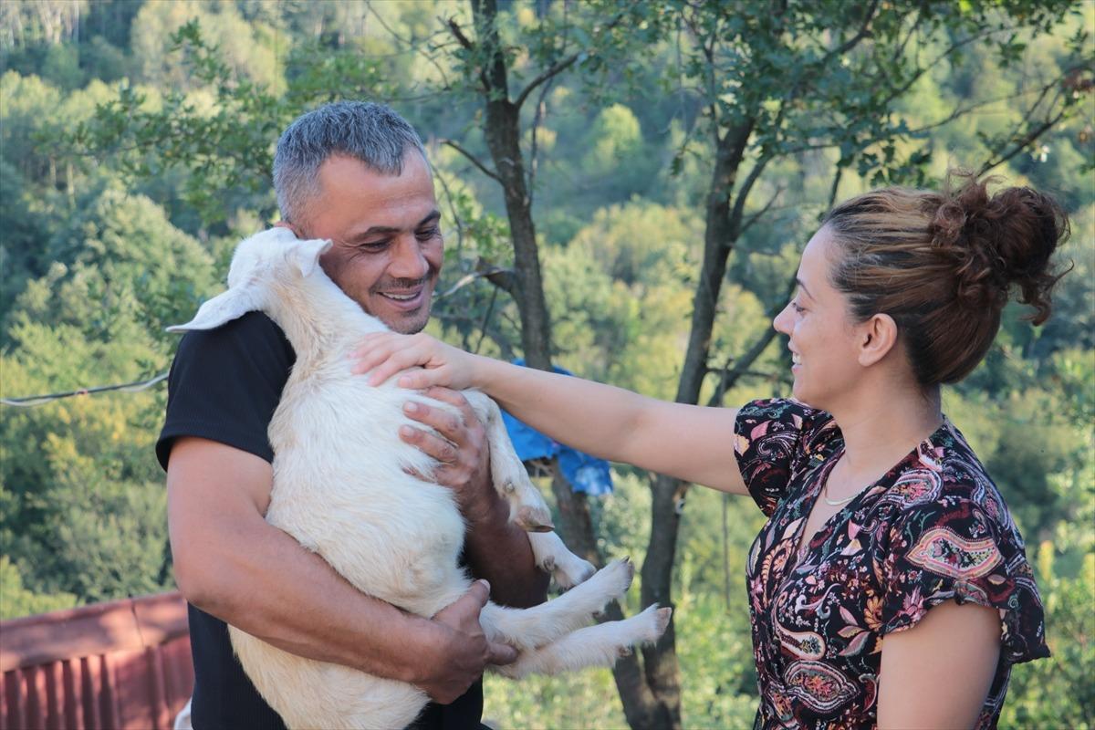 Emekli olunca tazminatıyla atıl arazide kurdu: Yeni geliri oldu 4