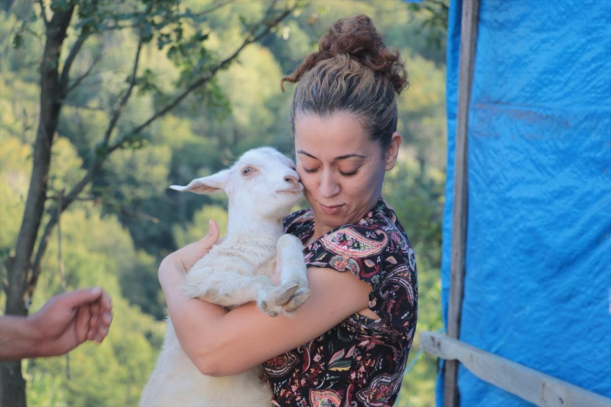 Emekli olunca tazminatıyla atıl arazide kurdu: Yeni geliri oldu 5
