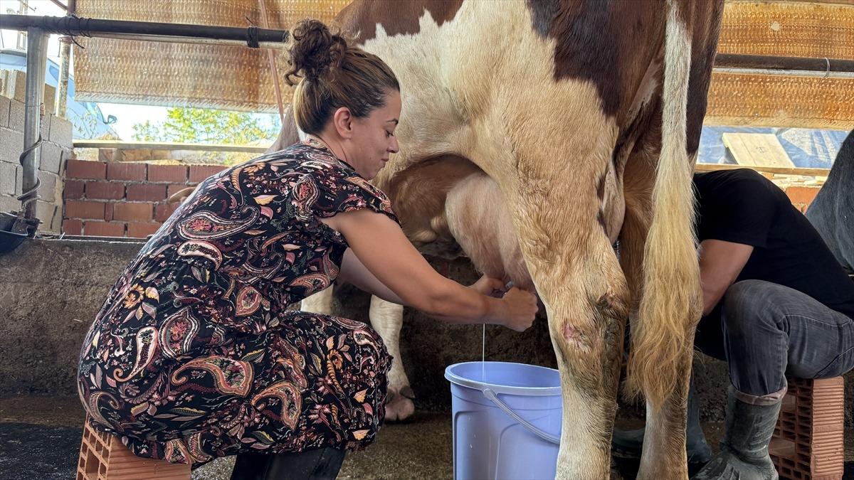 Emekli olunca tazminatıyla atıl arazide kurdu: Yeni geliri oldu 9