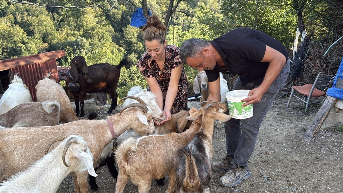 Emekli olunca tazminatıyla atıl arazide kurdu: Yeni geliri oldu 11