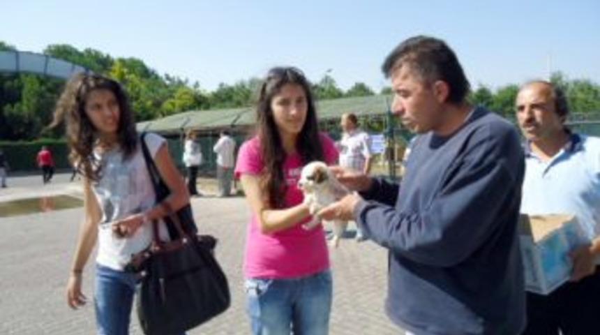 Hayvan barınağına K&ouml;rfez&rsquo;den misafir