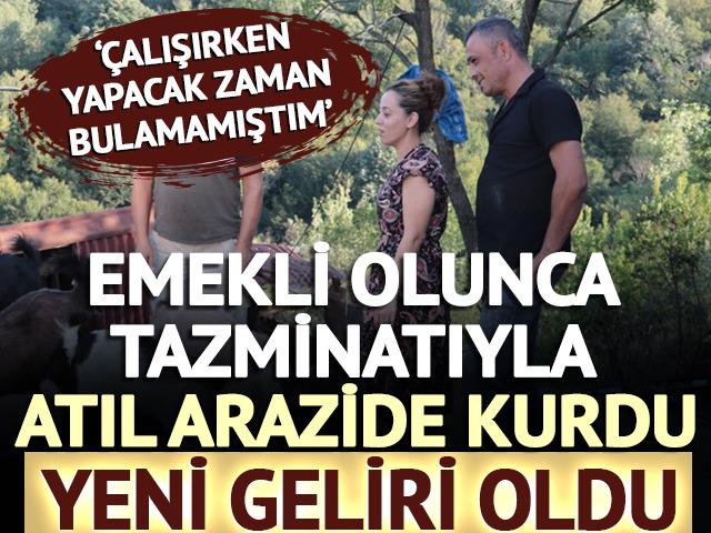 Emekli olunca tazminatıyla atıl arazide kurdu: Yeni geliri oldu