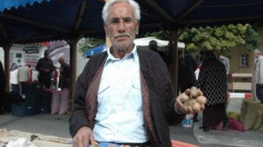 20. Kaman Ceviz ve K&uuml;lt&uuml;r Festivali başladı