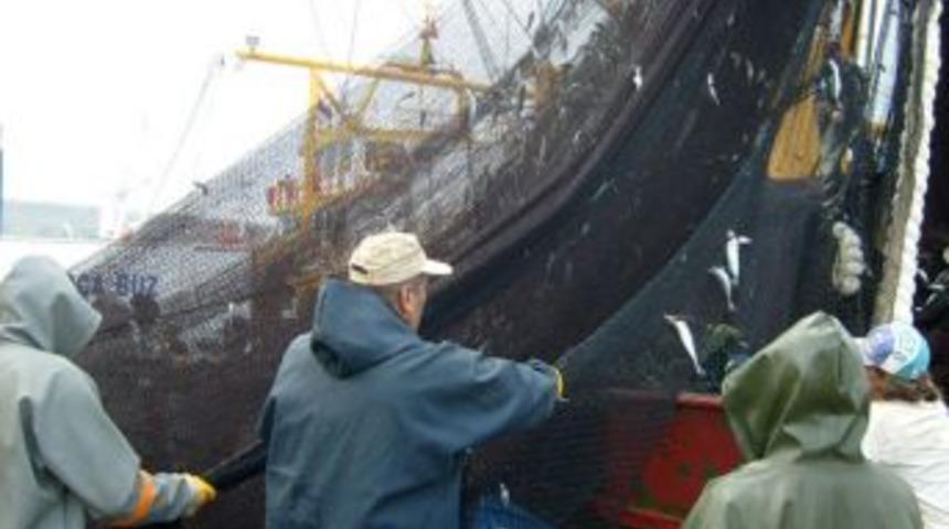 &Ouml;zkaya: Balık&ccedil;ılar bindiği dalı kesiyor