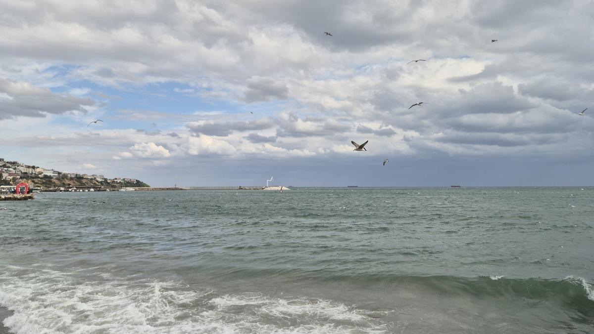 Tekirdağ da kestane karası fırtınası çıktı 2