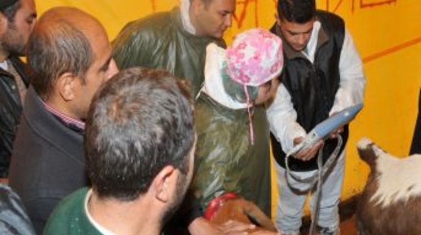 Ke&ccedil;&ouml;ren'de modern kurban alanı hizmet vermeye başladı