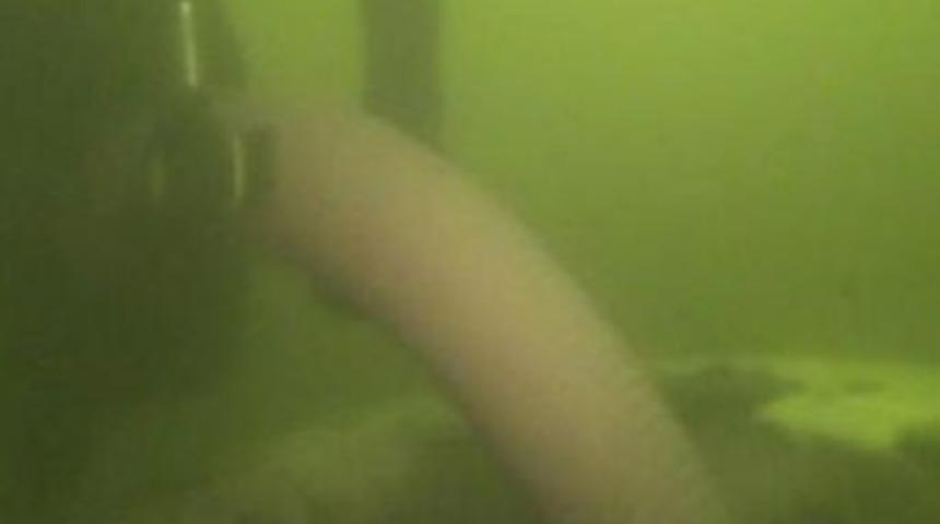 Sapanca G&ouml;l&uuml;n&uuml;n dibi &ccedil;&ouml;pl&uuml;k!