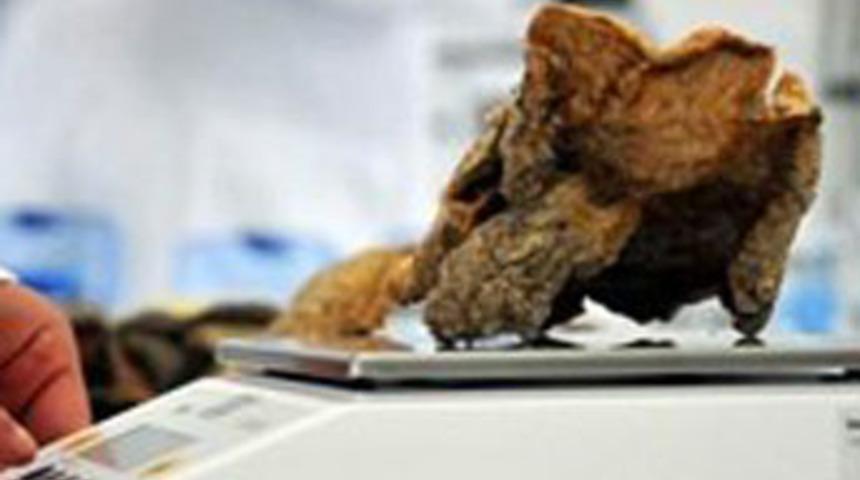 Kansere yeni umut Anadolu'dan