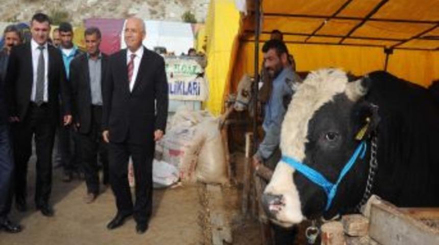 Yenimahalle Kurban Bayramı&rsquo;na hazır