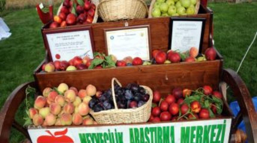 'Meyve End&uuml;strisi' i&ccedil;in geleceğin meyveleri tasarlanıyor