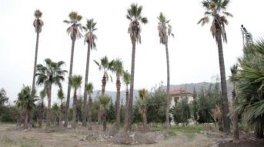 Belediye ekiplerinin ref&uuml;j d&uuml;zenleme &ccedil;alışmaları s&uuml;r&uuml;yor