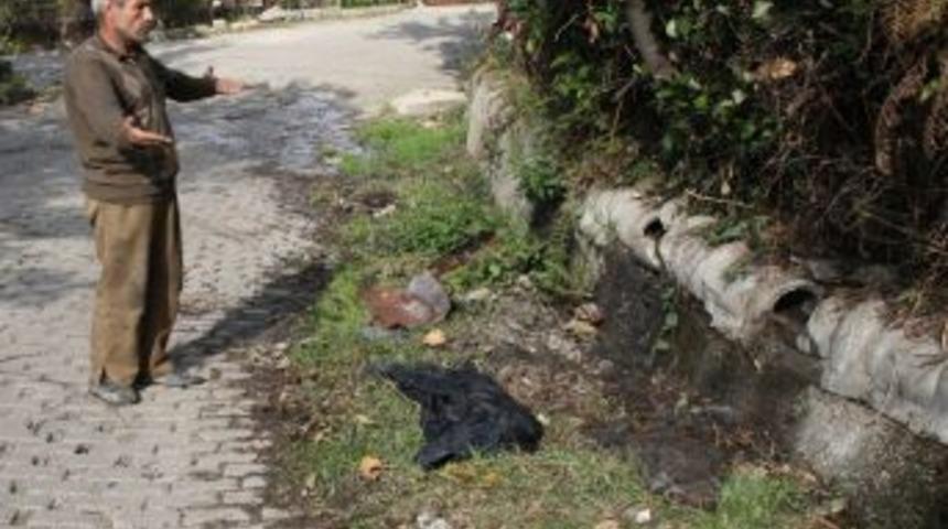 Mahalle sakinlerinden 5 yıldır onarılmayan kanalizasyon tepkisi