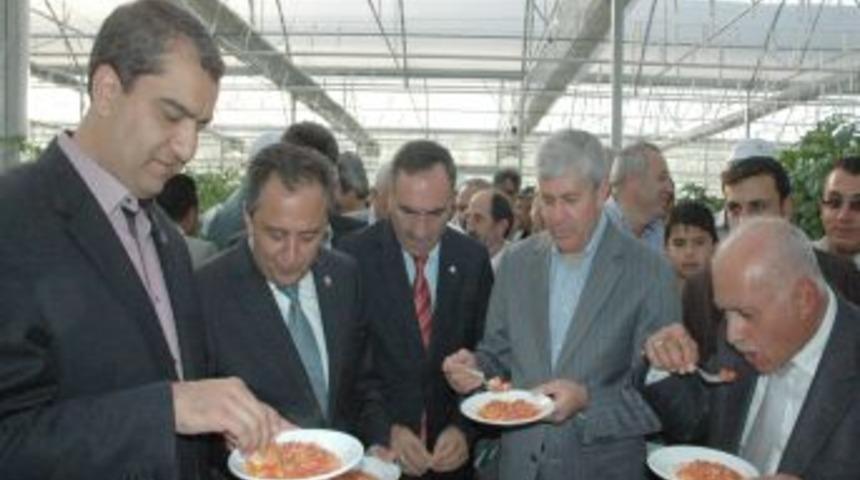 Vekiller organik &uuml;r&uuml;nlerle menemen yaptı, vali ekmek bandı