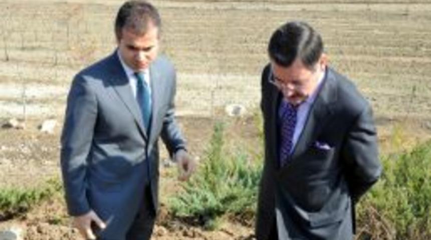 Ankara'ya yapılacak stat i&ccedil;in yer araştırması s&uuml;r&uuml;yor