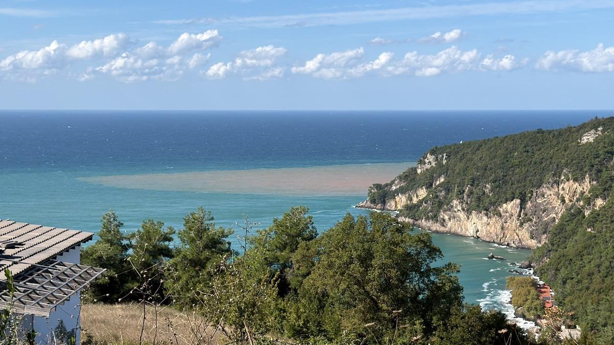 Bartın da deniz kahverengiye döndü! Nedeni bakın ne çıktı 4