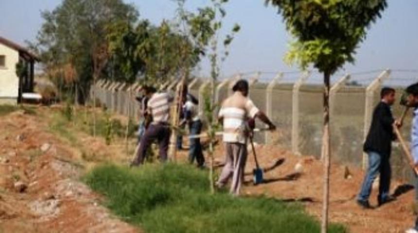 Ak&ccedil;akale'de park ve bah&ccedil;elerde &ccedil;alışacak vatandaşlar, işbaşı yaptı