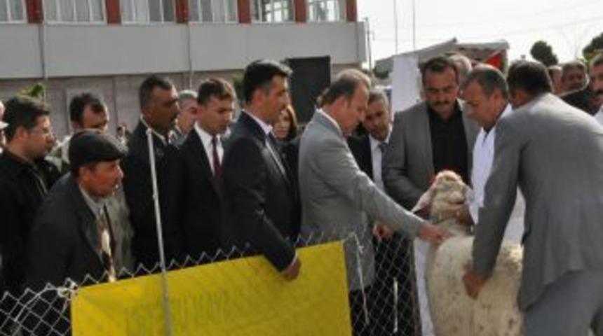 &Ccedil;ift&ccedil;ilere makine ve damızlık desteği