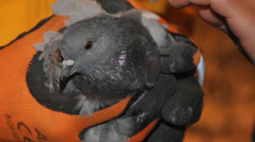 Depremin k&uuml;&ccedil;&uuml;k m&uuml;cizesi