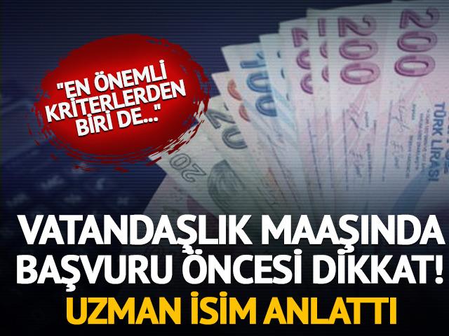 Vatandaşlık maaşında başvuru &ouml;ncesi dikkat! Uzman isim a&ccedil;ıkladı