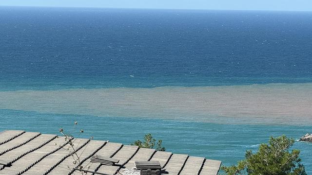 Bartın'da deniz kahverengiye döndü! Nedeni bakın ne çıktı