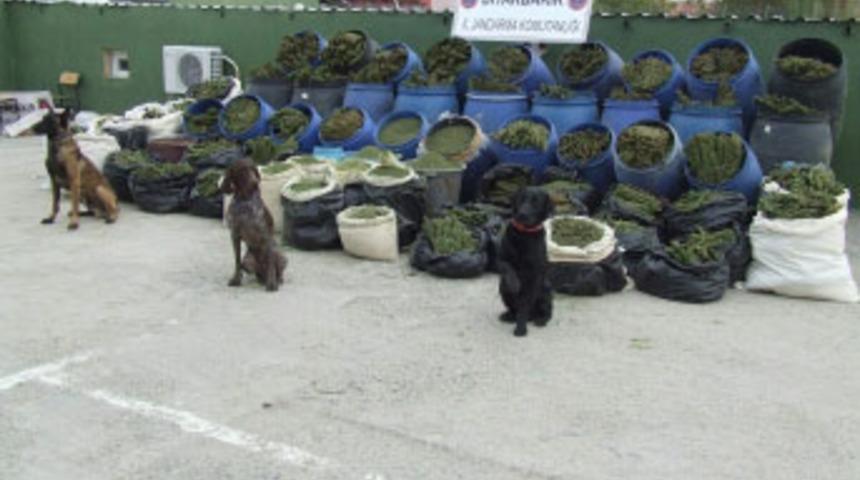 Diyarbakır'da b&uuml;y&uuml;k vurgun