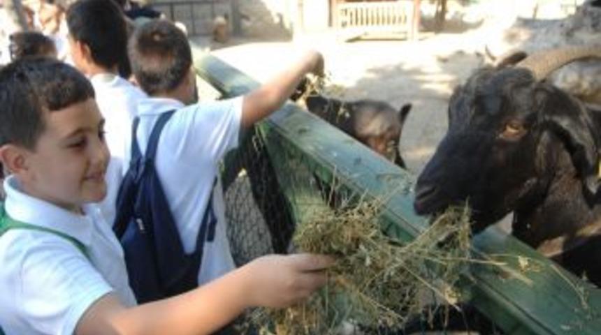 Nesli t&uuml;kenmekte olan hayvanlar Bursa Zoo'da korumaya alındı