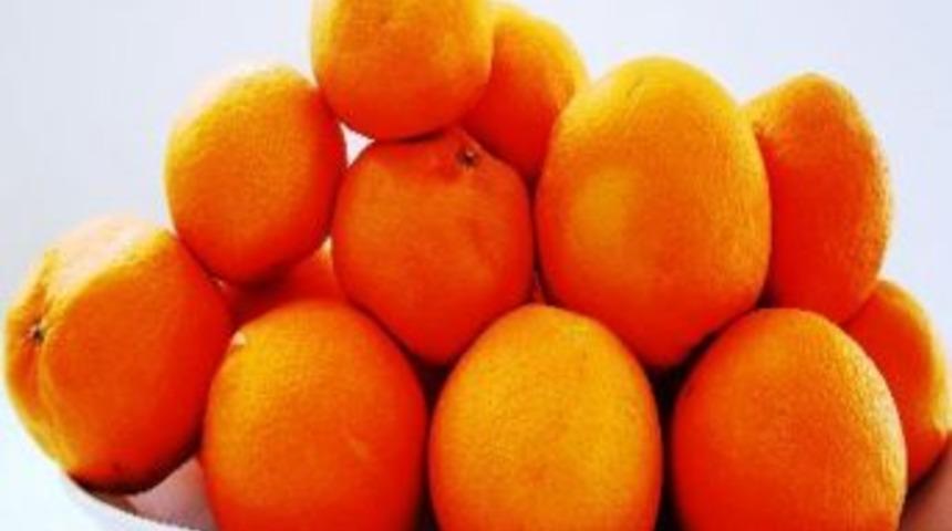 Erzin portakalı Almanya fuarında tanıtılacak