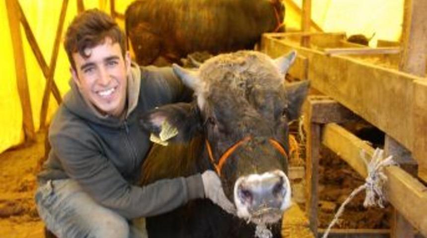 Kocaeli&rsquo;ndeki Vanlı kurban satıcıları geri d&ouml;nemiyor