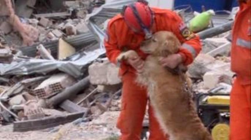 Jandarma k&ouml;peği Pafi de yorgun d&uuml;şt&uuml;