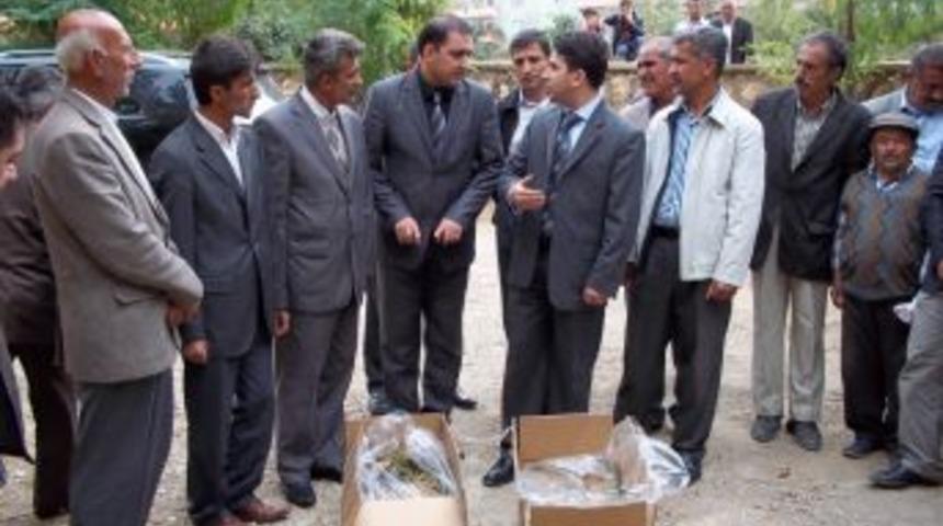 Sason'da &ccedil;ilek &uuml;retimi yaygınlaşıyor