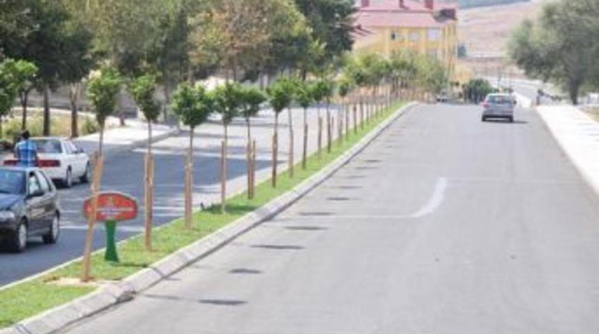 Beylikd&uuml;z&uuml;&rsquo;nde caddeler yeşillendi