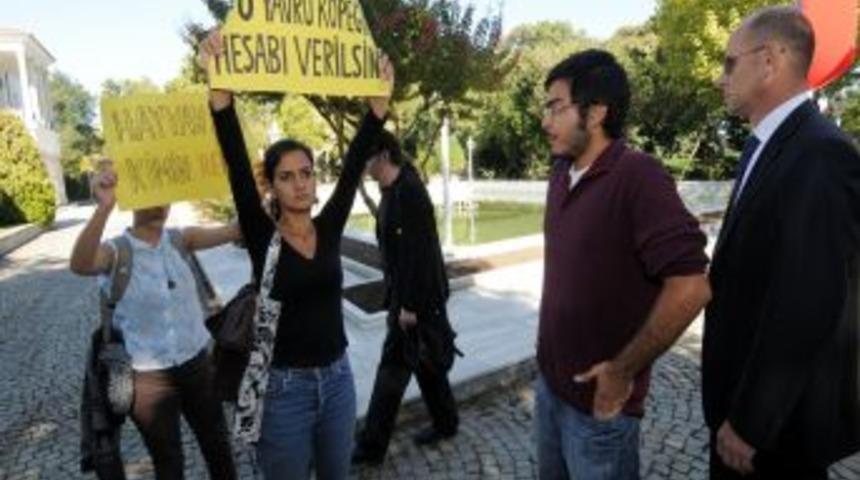 Hayvan hakları toplantısında Topbaş'a k&ouml;pek katliamı protestosu