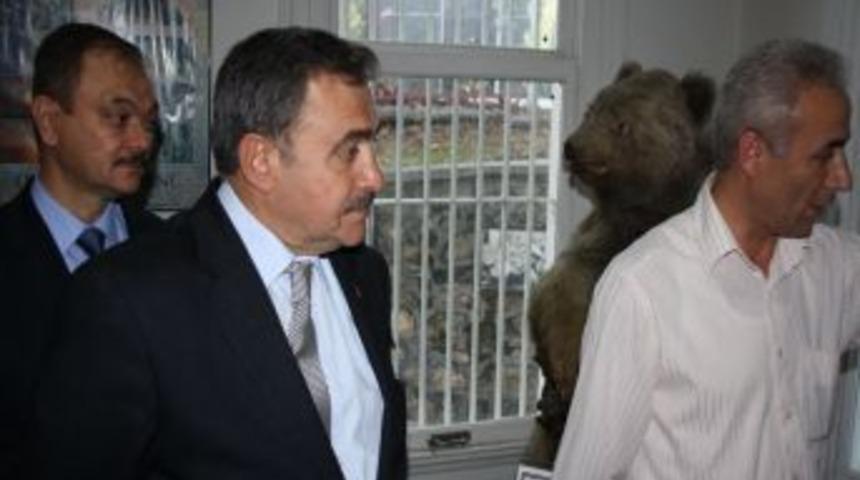 Bakan Eroğlu, Orman M&uuml;zesi'ni gezdi