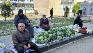 Tarladan &ccedil;ıkıp b&uuml;y&uuml;kşehirlere g&ouml;nderiliyor! Alucra kelemi hasadı başladı