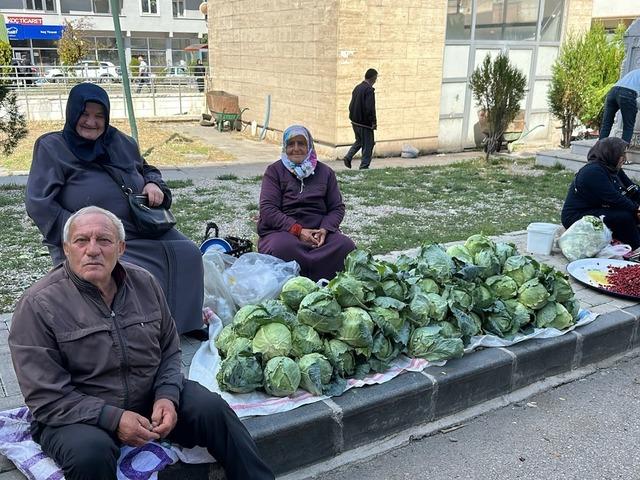 Tarladan &ccedil;ıkıp b&uuml;y&uuml;kşehirlere g&ouml;nderiliyor! Alucra kelemi hasadı başladı
