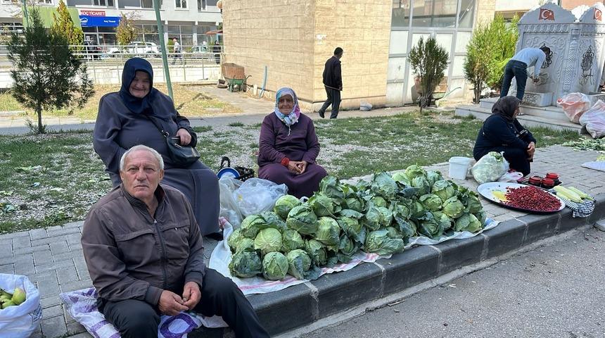 Tarladan &ccedil;ıkıp b&uuml;y&uuml;kşehirlere g&ouml;nderiliyor! Alucra kelemi hasadı başladı