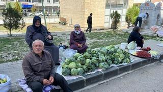 Tarladan çıkıp büyükşehirlere gönderiliyor! Alucra kelemi hasadı başladı
