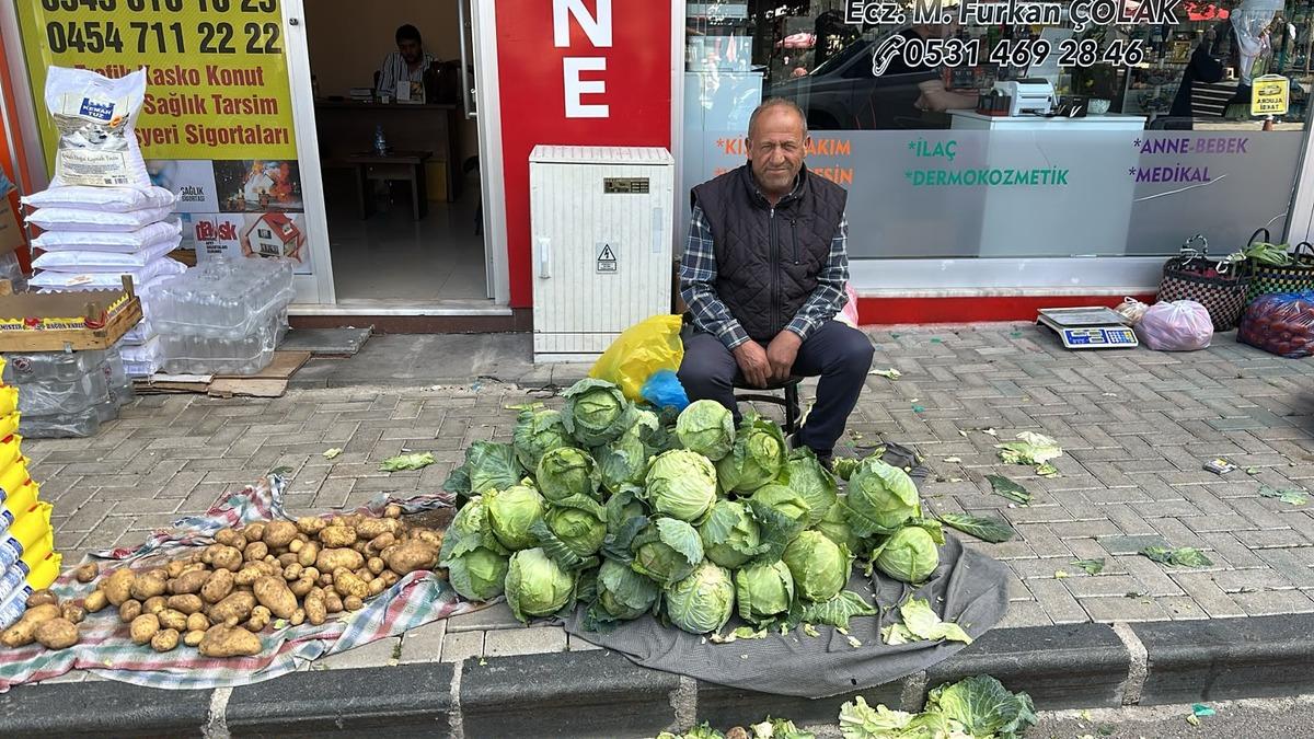Tarladan çıkıp büyükşehirlere gönderiliyor! Alucra kelemi hasadı başladı 2