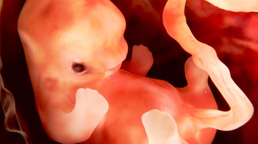 Hamilelik hakkında tuhaf ama ger&ccedil;ek bilgiler